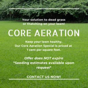 Core Aeration Promo